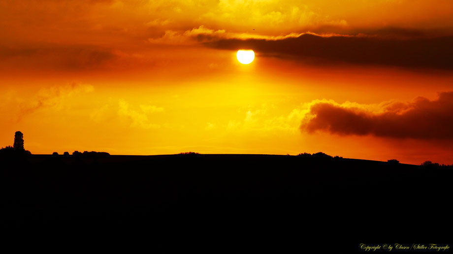 Sonnenaufgang, Kornfeld, Baum, Sonnenstrahlen, Wolken,