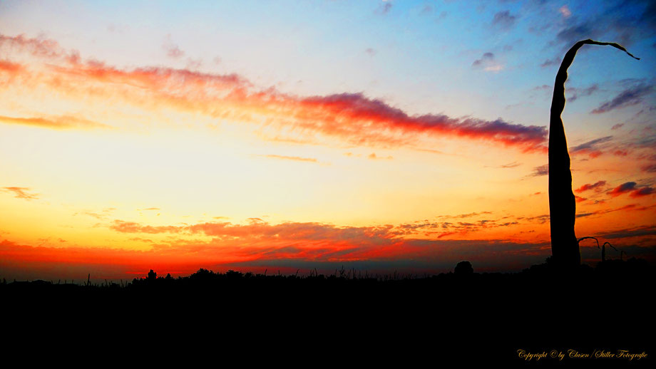 Hilden, Clasen/Stiller Fotografie, Udo Clasen, Patrick Stiller, Nachtaufnahme, Langzeitbelichtung, Sonnenaufgang, Sonnenuntergang, rot, grün, blau, orange, gold, gelb, Pflanzen, Baum, Bäume, HDR, Düsseldorf, Duisburg, Natur, Tiere, Wolken, 