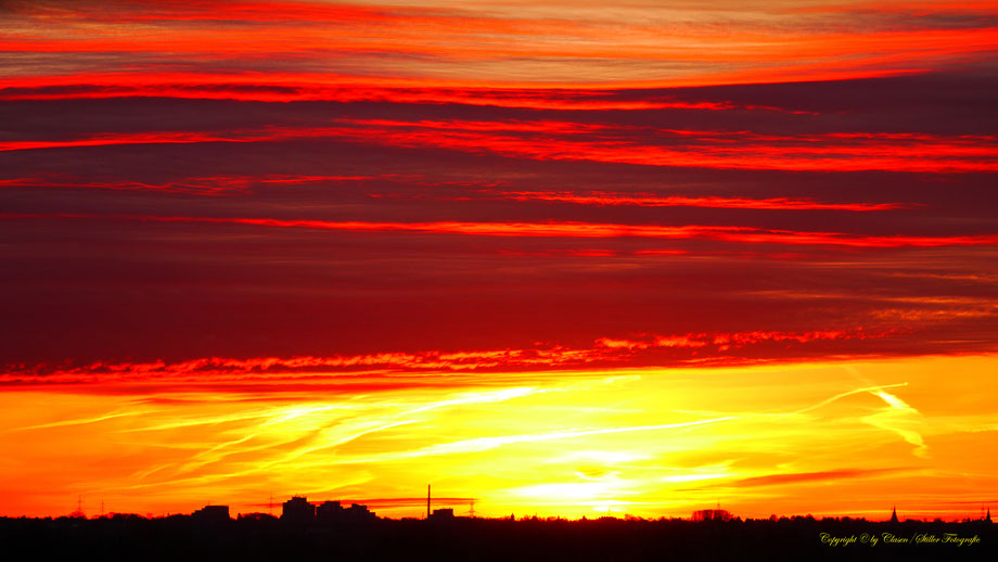 Vögel, Clasen/Stiller Fotografie, Udo Clasen, Patrick Stiller, Nachtaufnahme, Langzeitbelichtung, Sonnenaufgang, Sonnenuntergang, rot, grün, blau, orange, gold, gelb, Pflanzen, Baum, Bäume, HDR, Düsseldorf, Duisburg, Natur, Tiere, Wolken, 