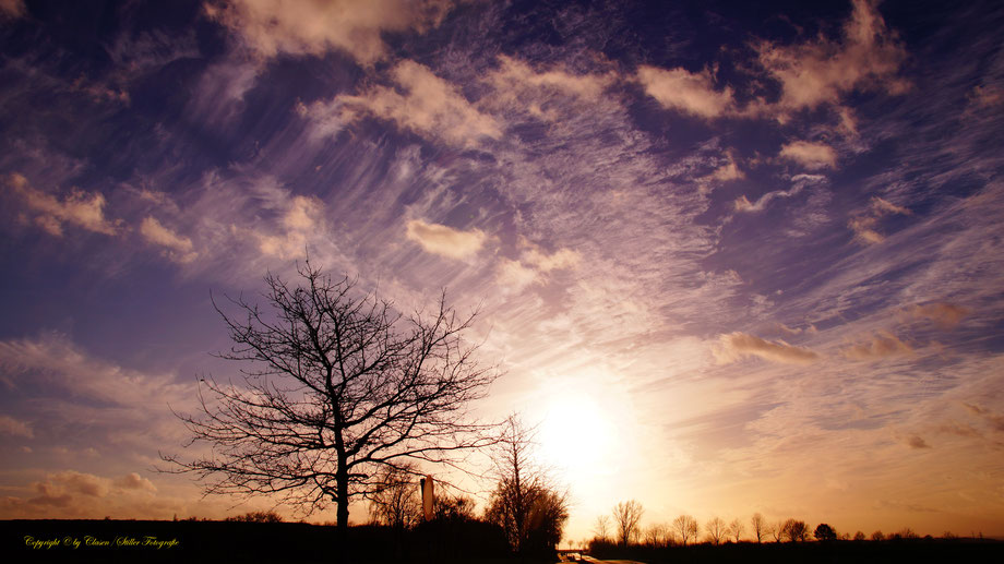 Vögel, Clasen/Stiller Fotografie, Udo Clasen, Patrick Stiller, Nachtaufnahme, Langzeitbelichtung, Sonnenaufgang, Sonnenuntergang, rot, grün, blau, orange, gold, gelb, Pflanzen, Baum, Bäume, HDR, Düsseldorf, Duisburg, Natur, Tiere, Wolken, 