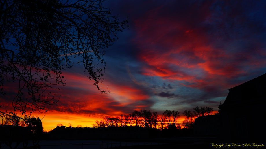 Sonnenaufgang, Kornfeld, Baum, Sonnenstrahlen, Wolken,