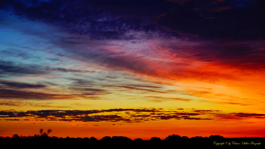 Clasen/Stiller Fotografie, Udo Clasen, Patrick Stiller, Nachtaufnahme, Langzeitbelichtung, Sonnenaufgang, Fernsehturm, rot, grün, blau, orange, gold, gelb, Pflanzen, Baum, Bäume, HDR, Düsseldorf, Duisburg, Natur, Tiere, Wolken, Wassertropfen, Vögel,