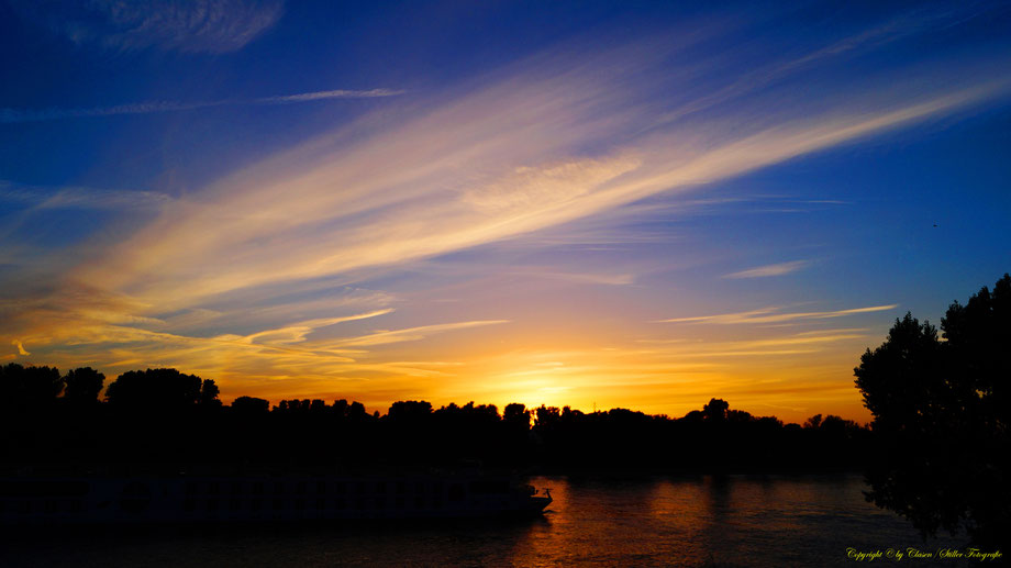 Sonnenaufgang, Kornfeld, Baum, Sonnenstrahlen, Wolken, Rhein,