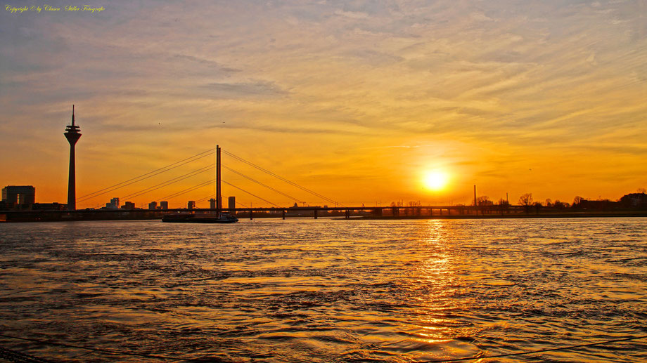 Düsseldorfer Fernsehturm, Vögel, Clasen/Stiller Fotografie, Udo Clasen, Patrick Stiller, Nachtaufnahme, Langzeitbelichtung, Sonnenaufgang, Sonnenuntergang, rot, blau, orange, gold, gelb, Pflanzen, Baum, Bäume, HDR, Düsseldorf, Duisburg, Natur, Rhein,