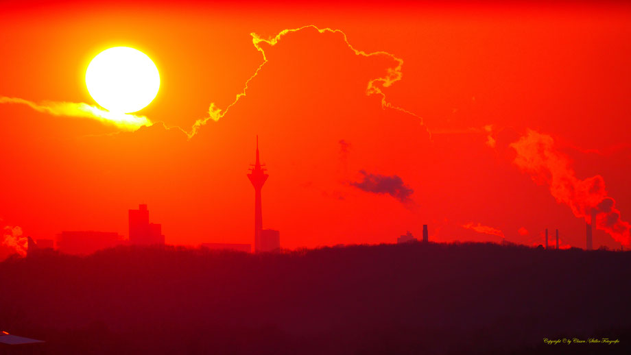 Clasen/Stiller Fotografie, Udo Clasen, Patrick Stiller, Nachtaufnahme, Langzeitbelichtung, Sonnenaufgang, Sonnenuntergang, rot, grün, blau, orange, gold, gelb, Pflanzen, Baum, Bäume, HDR, Düsseldorf, Duisburg, Natur, Tiere, Wolken, Wassertropfen, Vögel,