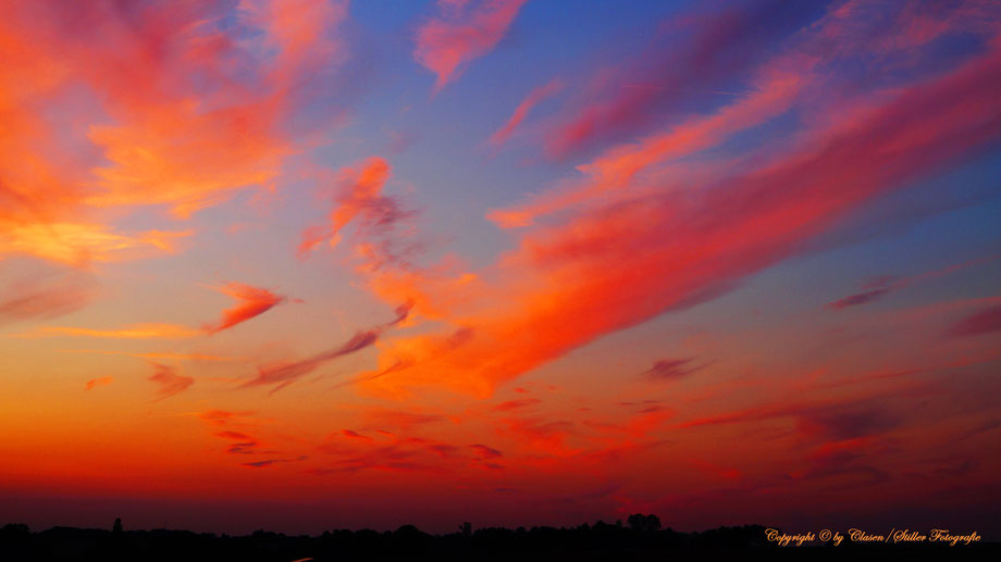 Clasen/Stiller Fotografie, Udo Clasen, Patrick Stiller, Nachtaufnahme, Langzeitbelichtung, Sonnenaufgang, Sonnenuntergang, rot, grün, blau, orange, gold, gelb, Pflanzen, Baum, Bäume, HDR, Düsseldorf, Fernsehturm, Natur, Tiere, Wolken, 