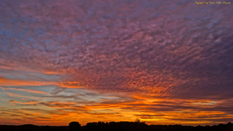 Sonnenaufgang, Kornfeld, Baum, Sonnenstrahlen, Wolken,