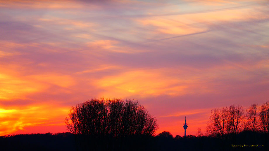 Clasen/Stiller Fotografie, Udo Clasen, Patrick Stiller, Nachtaufnahme, Langzeitbelichtung, Sonnenaufgang, Sonnenuntergang, rot, grün, blau, orange, gold, gelb, Pflanzen, Baum, Bäume, HDR, Düsseldorf, Duisburg, Natur, Tiere, Wolken, Wassertropfen, Vögel,