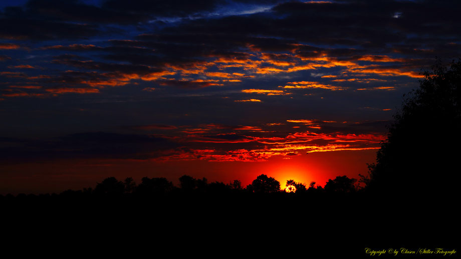 Sonnenaufgang, Kornfeld, Baum, Sonnenstrahlen, Wolken,