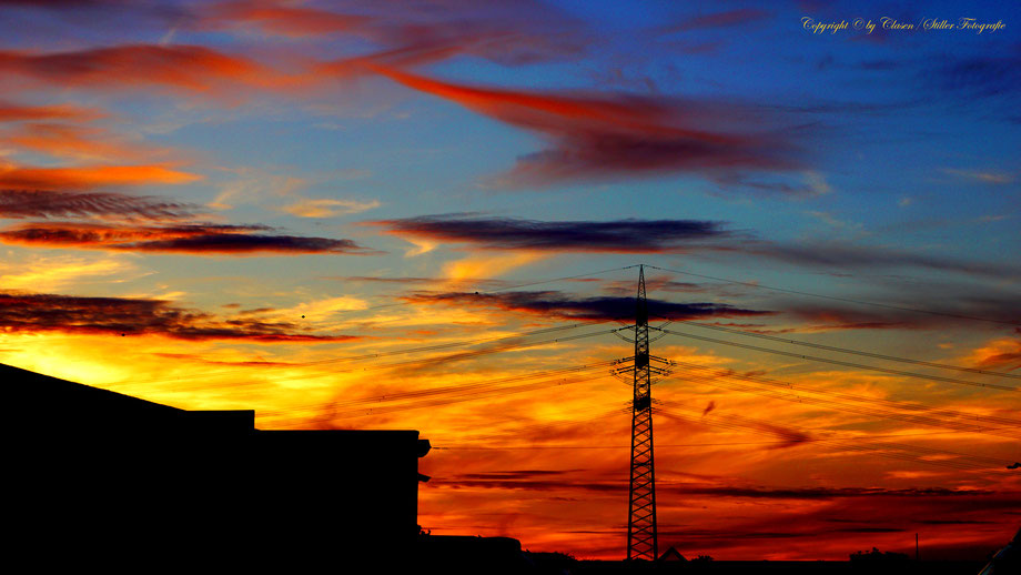 Düsseldorfer Fernsehturm, Vögel, Clasen/Stiller Fotografie, Udo Clasen, Patrick Stiller, Nachtaufnahme, Langzeitbelichtung, Sonnenaufgang, Sonnenuntergang, rot, grün, blau, orange, gold, gelb, Pflanzen, Baum, Bäume, HDR, Düsseldorf, Duisburg, Natur, Tiere