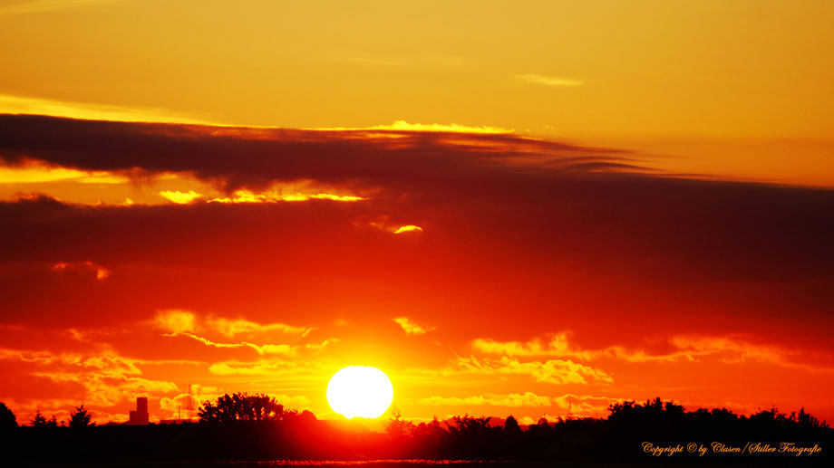 Wassertropfen, Gräser, Sonnenaufgang