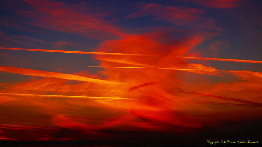 Sonnenaufgang, Kornfeld, Baum, Sonnenstrahlen, Wolken,