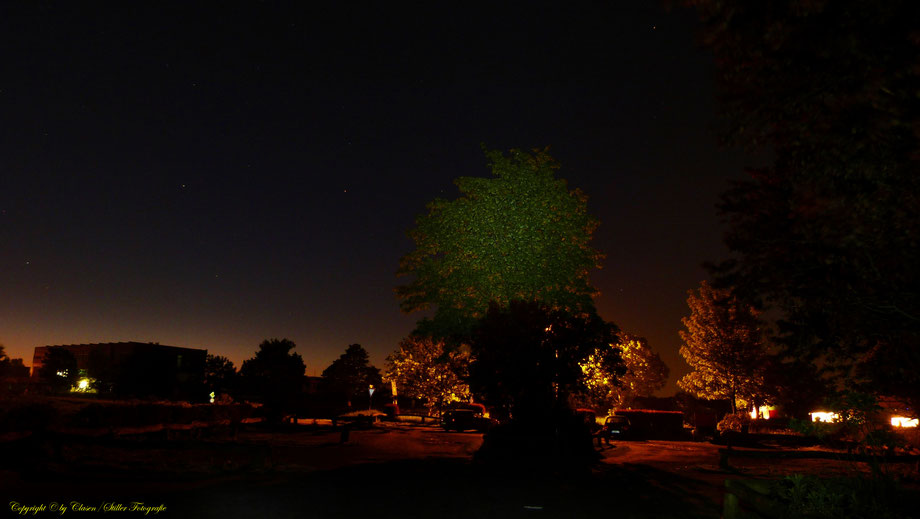 Nachtaufnahme, Langzeitbelichtung, Baum, Sonnenaufgang, Sterne,