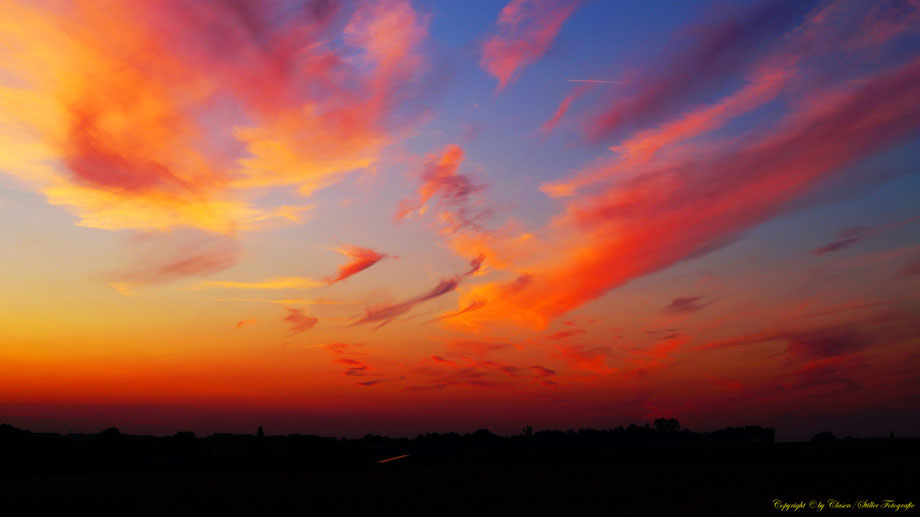 Sonnenaufgang, Kornfeld, Baum, Sonnenstrahlen, Wolken,