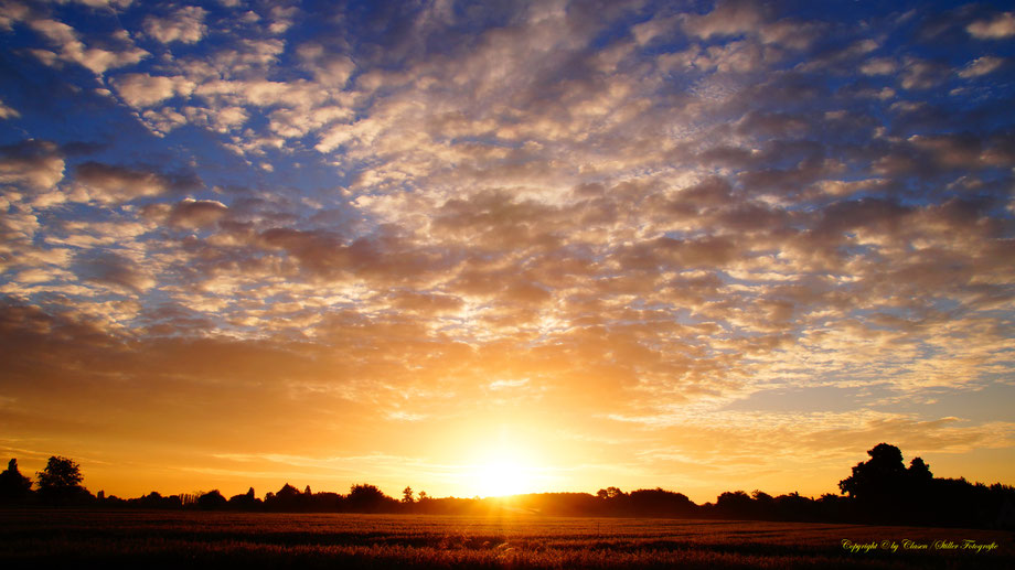 Sonnenaufgang, Kornfeld, Baum, Sonnenstrahlen, Wolken,