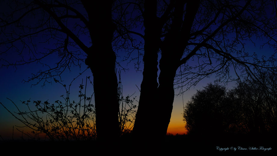 Clasen/Stiller Fotografie, Udo Clasen, Patrick Stiller, Nachtaufnahme, Abstrakte Fotos, Langzeitbelichtung, Sonnenaufgang, rot, grün, blau, orange, gold, gelb, abstrakte lichter, HDR, Düsseldorf, Duisburg, abstraktes, Kunst, Fotokunst, farbenspiel,