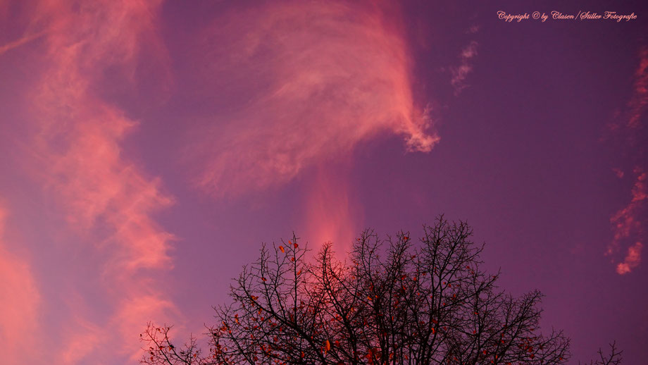 Hilden, Clasen/Stiller Fotografie, Udo Clasen, Patrick Stiller, Nachtaufnahme, Langzeitbelichtung, Sonnenaufgang, Sonnenuntergang, rot, grün, blau, orange, gold, gelb, Pflanzen, Baum, Bäume, HDR, Düsseldorf, Duisburg, Natur, Tiere, Wolken, 