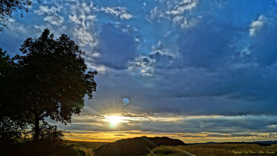 Sonnenaufgang, Kornfeld, Baum, Sonnenstrahlen, Wolken,