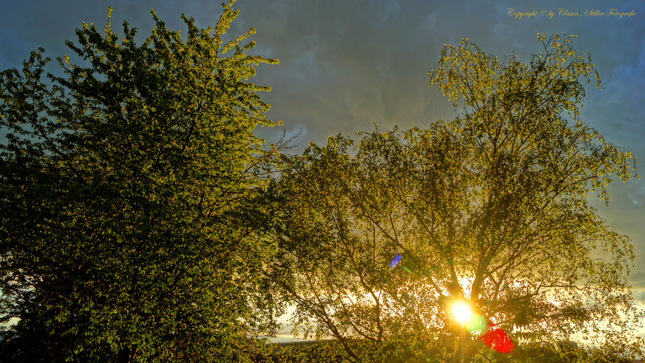 Clasen/Stiller Fotografie, Udo Clasen, Patrick Stiller, Nachtaufnahme, Abstrakte Fotos, Langzeitbelichtung, Sonnenaufgang, rot, grün, blau, orange, gold, gelb, abstrakte lichter, HDR, Düsseldorf, Duisburg, abstraktes, Kunst, Fotokunst, farbenspiel,