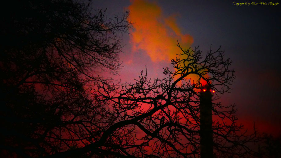 Sonnenaufgang, Kornfeld, Baum, Sonnenstrahlen, Wolken,