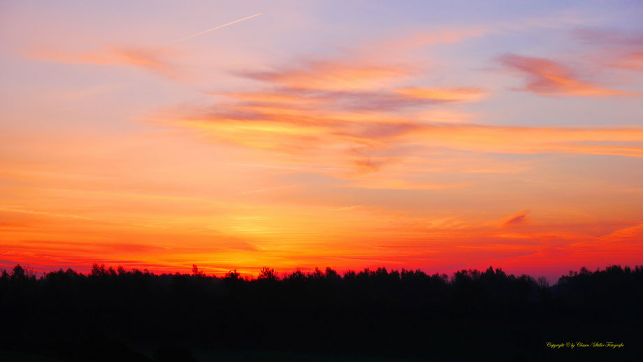 Clasen/Stiller Fotografie, Udo Clasen, Patrick Stiller, Nachtaufnahme, Langzeitbelichtung, Sonnenaufgang, Sonnenuntergang, rot, grün, blau, orange, gold, gelb, Pflanzen, Baum, Bäume, HDR, Düsseldorf, Duisburg, Natur, Tiere, Wolken, Wassertropfen, Vögel,