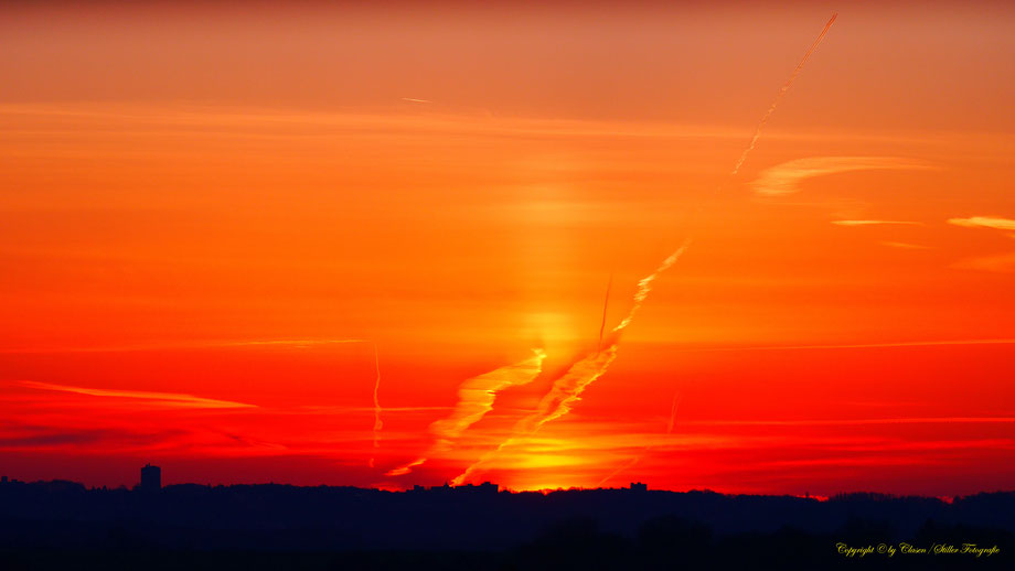 Vögel, Clasen/Stiller Fotografie, Udo Clasen, Patrick Stiller, Nachtaufnahme, Langzeitbelichtung, Sonnenaufgang, Sonnenuntergang, rot, grün, blau, orange, gold, gelb, Pflanzen, Baum, Bäume, HDR, Düsseldorf, Duisburg, Natur, Tiere, Wolken, 