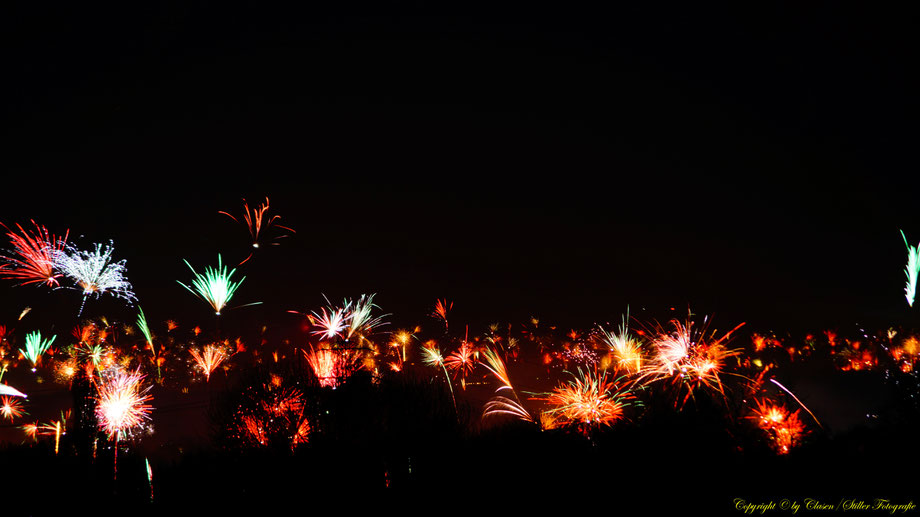 Nachtaufnahme, Langzeitbelichtung, Baum, Sonnenaufgang, Feuerwerk,