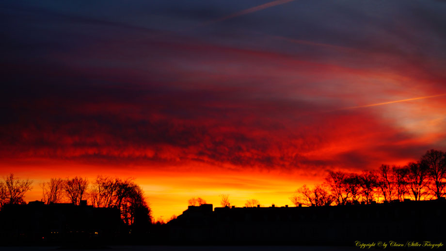 Sonnenaufgang, Kornfeld, Baum, Sonnenstrahlen, Wolken,