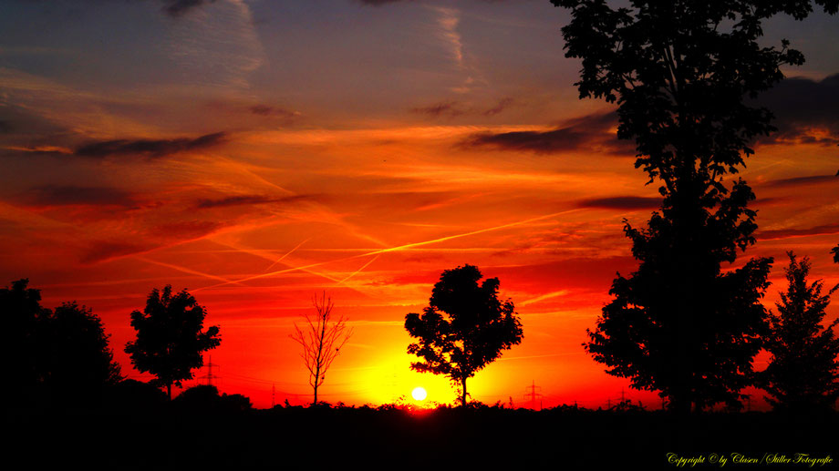 Sonnenaufgang, Kornfeld, Baum, Sonnenstrahlen, Wolken,