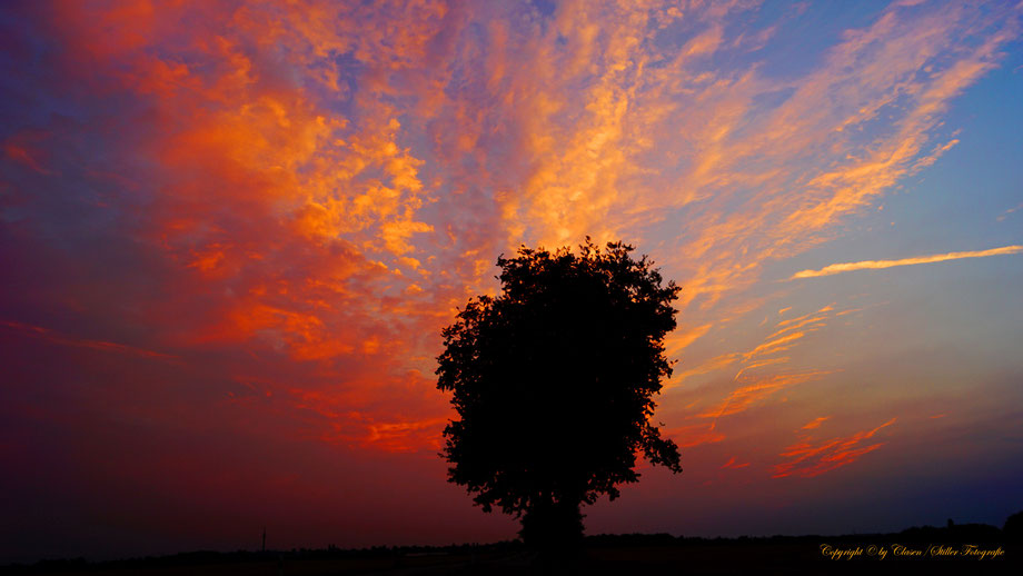  Clasen/Stiller Fotografie, Udo Clasen, Patrick Stiller, Nachtaufnahme, Abstrakte Fotos, Langzeitbelichtung, Sonnenaufgang, rot, grün, blau, orange, gold, abstrakte lichter, HDR, Düsseldorf, Duisburg, abstraktes, Kunst, Fotokunst, farbenspiel, Natur,