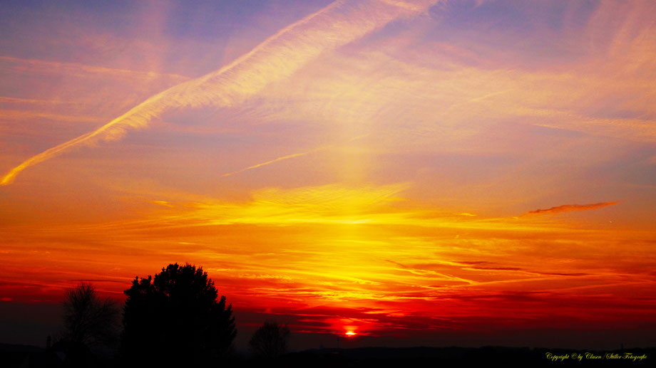 Sonnenaufgang, Kornfeld, Baum, Sonnenstrahlen, Wolken,