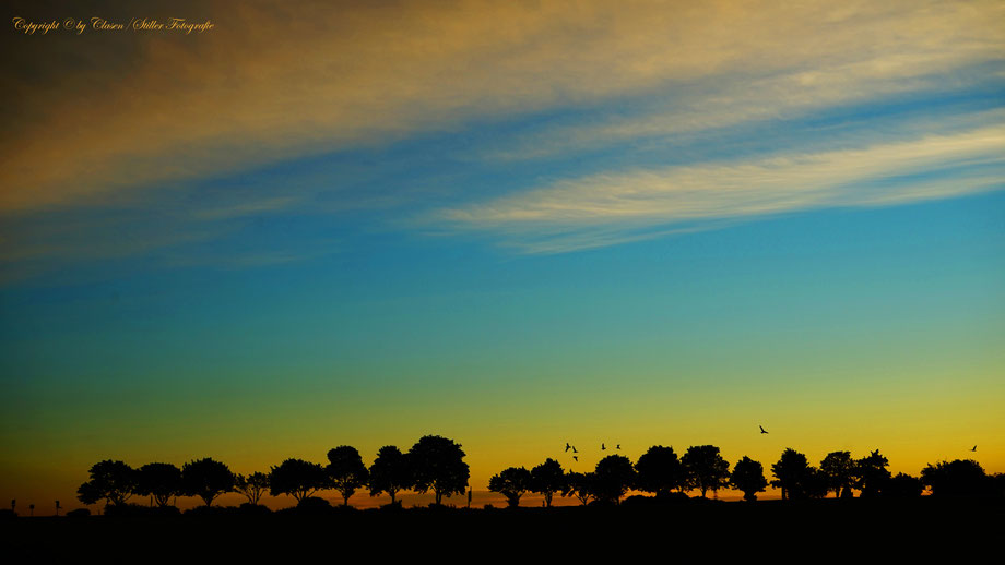 Benrather Schloß, Clasen/Stiller Fotografie, Udo Clasen, Patrick Stiller, Farbenpracht, Abstrakte Fotos, Langzeitbelichtung, Sonnenaufgang, rot, grün, blau, orange, gold, abstrakte lichter, HDR, Düsseldorf, Duisburg, abstraktes, Kunst, ,