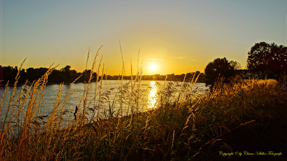  Clasen/Stiller Fotografie, Udo Clasen, Patrick Stiller, Nachtaufnahme, Abstrakte Fotos, Langzeitbelichtung, Sonnenaufgang, rot, grün, blau, orange, gold, abstrakte lichter, HDR, Düsseldorf, Duisburg, abstraktes, Kunst, Fotokunst, farbenspiel, Natur,