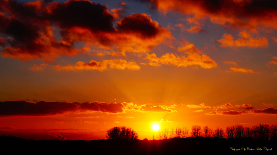 Sonnenaufgang, Kornfeld, Baum, Sonnenstrahlen, Wolken,