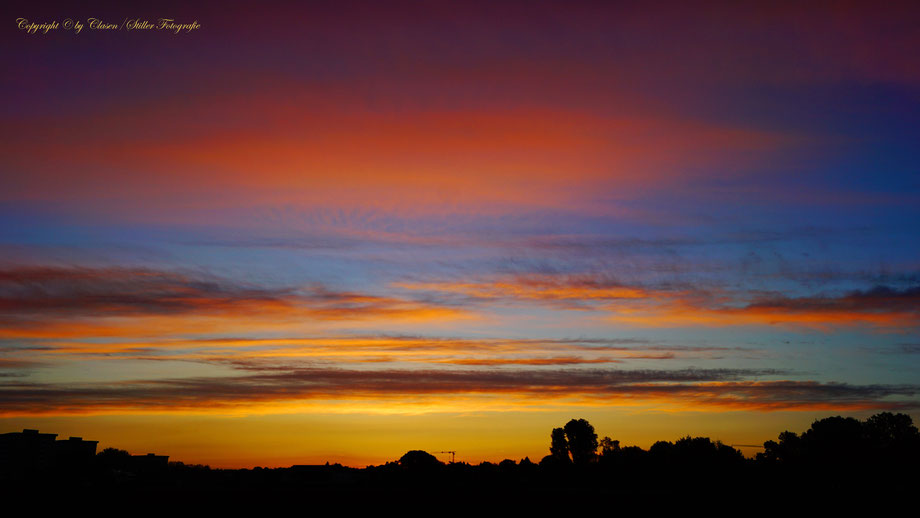 Düsseldorfer Fernsehturm, Vögel, Clasen/Stiller Fotografie, Udo Clasen, Patrick Stiller, Nachtaufnahme, Langzeitbelichtung, Sonnenaufgang, Sonnenuntergang, rot, grün, blau, orange, gold, gelb, Pflanzen, Baum, Bäume, HDR, Düsseldorf, Duisburg, Natur, Tiere