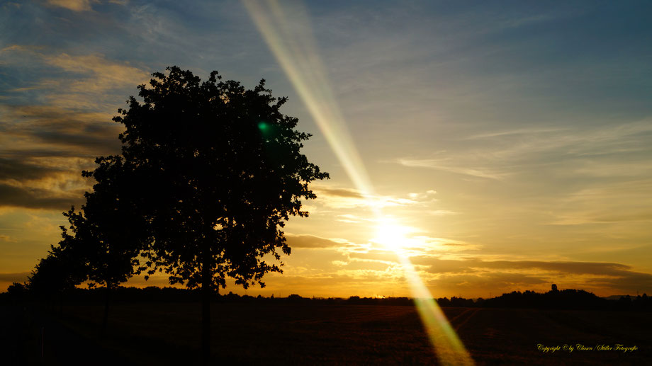 Clasen/Stiller Fotografie, Udo Clasen, Patrick Stiller, Nachtaufnahme, Langzeitbelichtung, Sonnenaufgang, Sonnenuntergang, rot, grün, blau, orange, gold, gelb, Pflanzen, Baum, Bäume, HDR, Düsseldorf, Duisburg, Natur, Tiere, Wolken, Wassertropfen, Vögel,