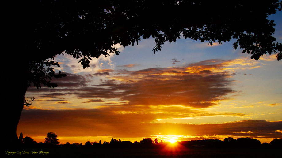 Sonnenaufgang, Kornfeld, Baum, Sonnenstrahlen, Wolken,