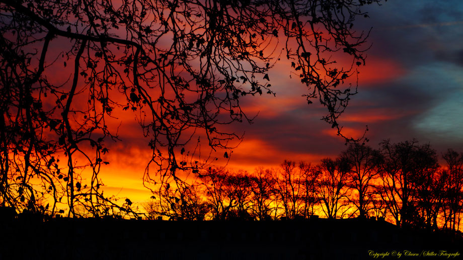 Sonnenaufgang, Kornfeld, Baum, Sonnenstrahlen, Wolken,