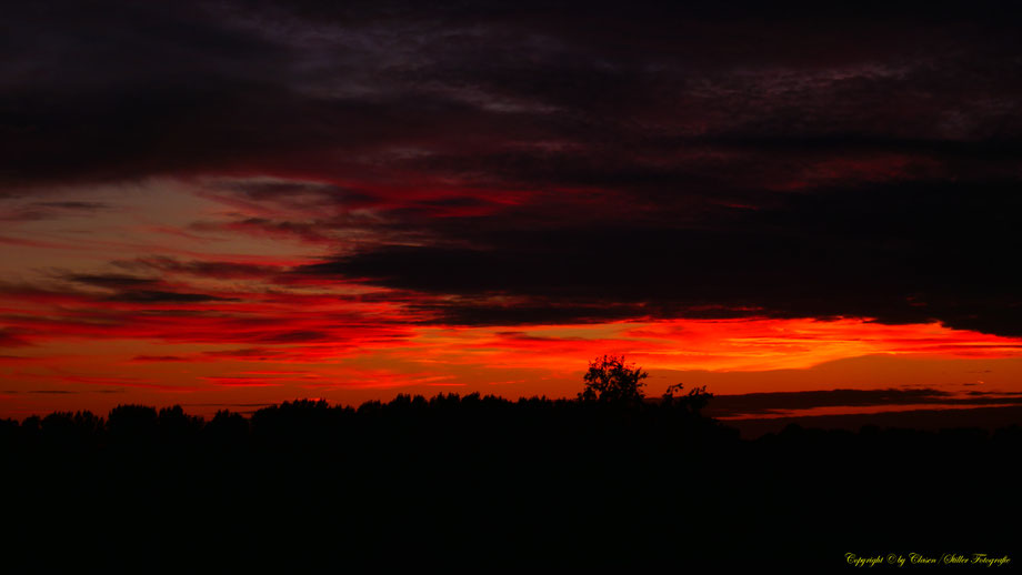 Sonnenaufgang, Kornfeld, Baum, Sonnenstrahlen, Wolken,