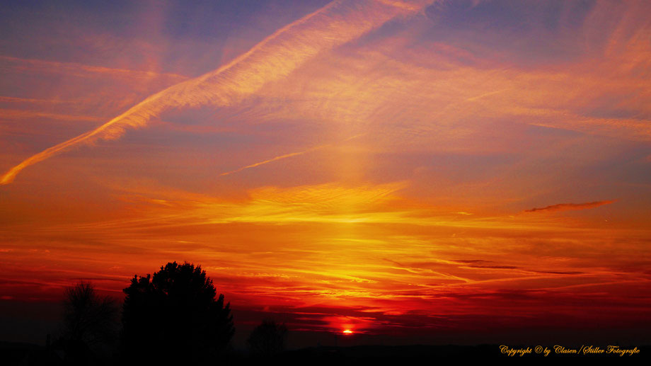 Hilden, Clasen/Stiller Fotografie, Udo Clasen, Patrick Stiller, Nachtaufnahme, Langzeitbelichtung, Sonnenaufgang, Sonnenuntergang, rot, grün, blau, orange, gold, gelb, Pflanzen, Baum, Bäume, HDR, Düsseldorf, Duisburg, Natur, Tiere, Wolken, 