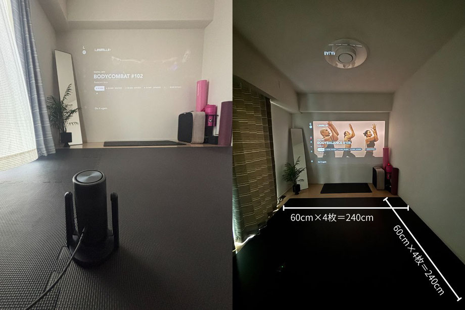 home gym setup female