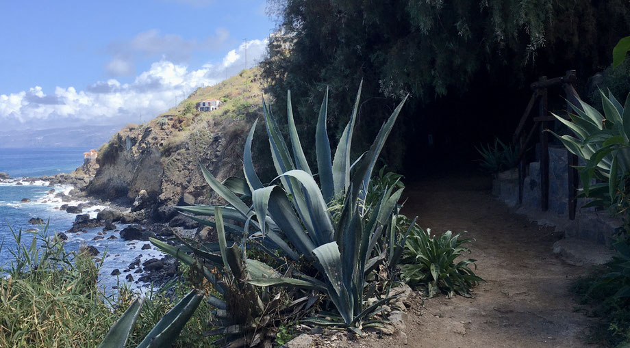 Küstenweg bei San Juan de la Rambla. Foto Melanie Koßmann