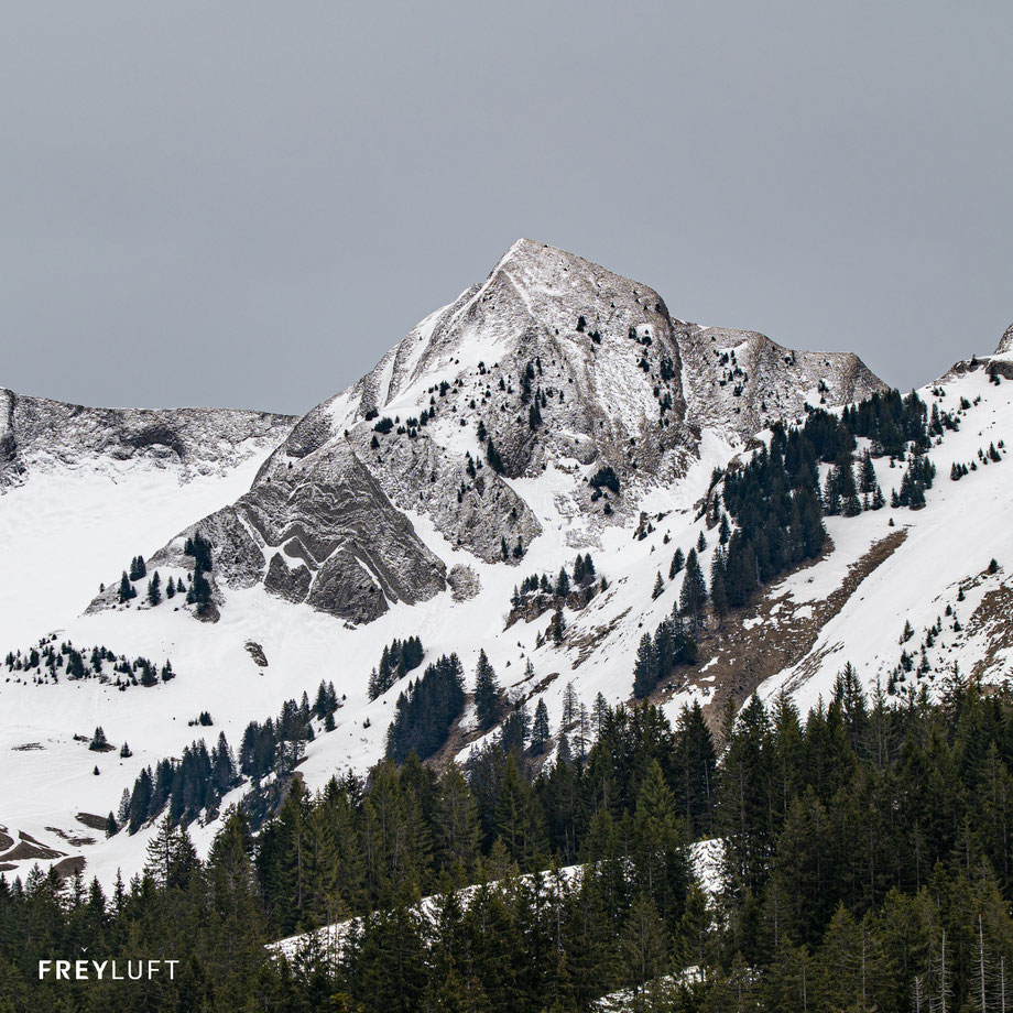 Ällgäuwhoren ( Brienzergrat)