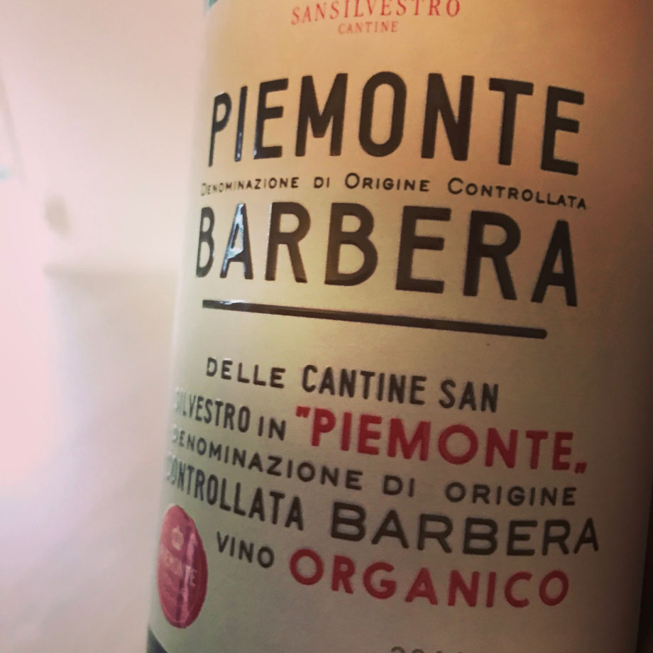 Nice Organic Barbera from Italy, Sansilvestro Cantine