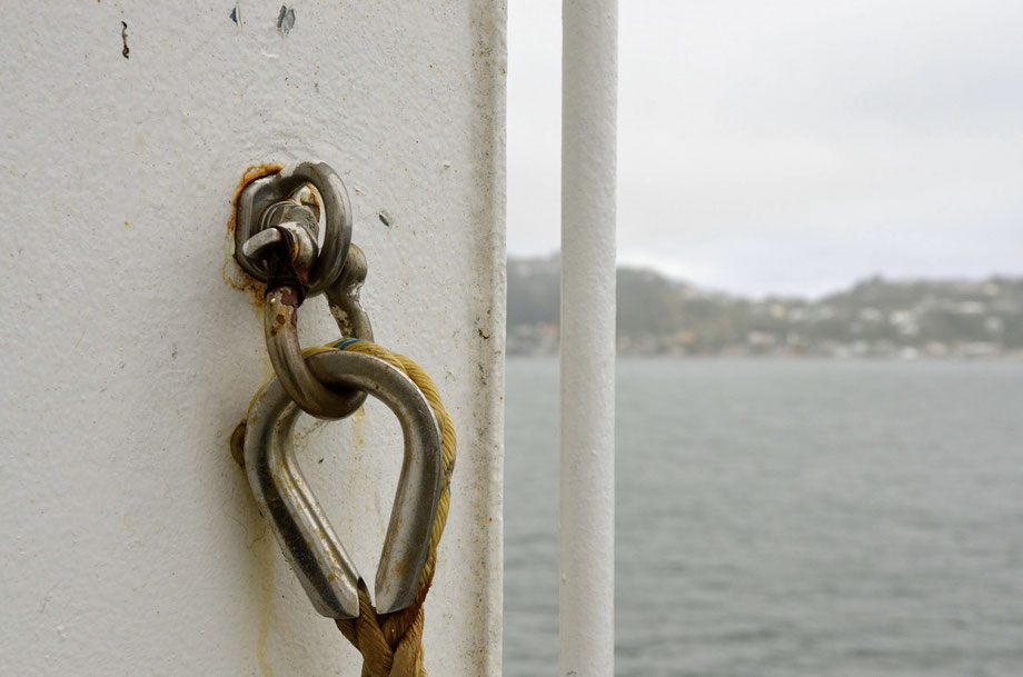 Bluebridge Ferry to Marlborough