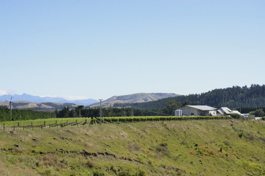 Te Kairanga Vineyard & Winery