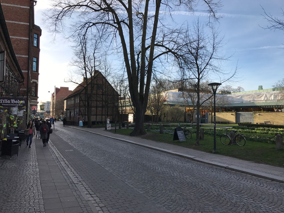 Crisp spring air in Skåne