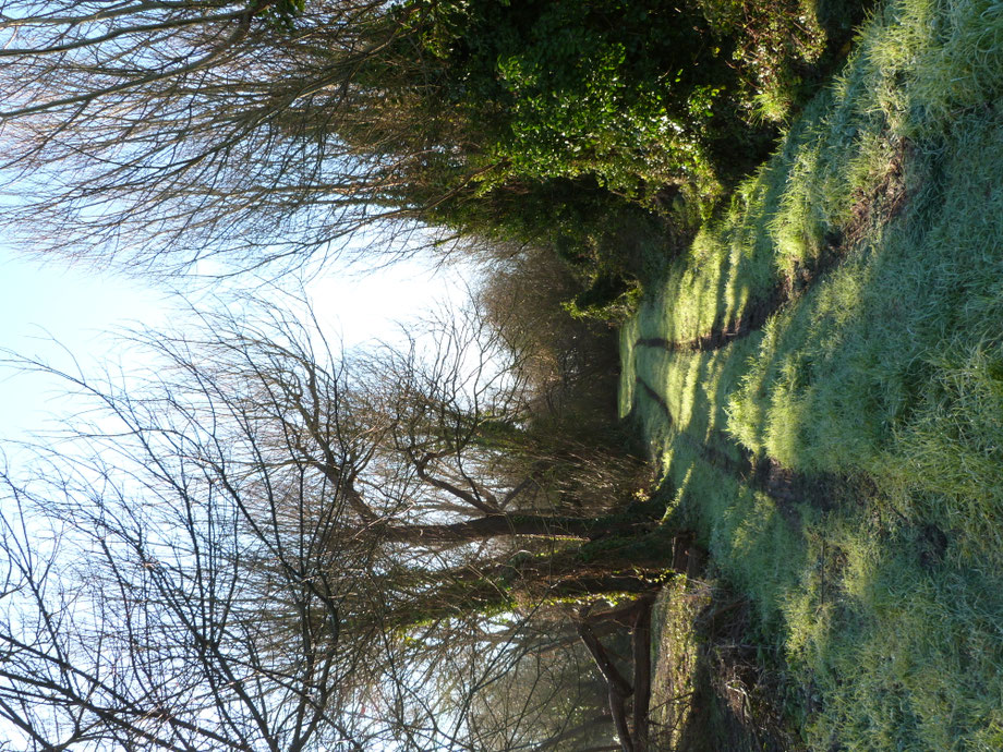 Menbleis, l'hiver