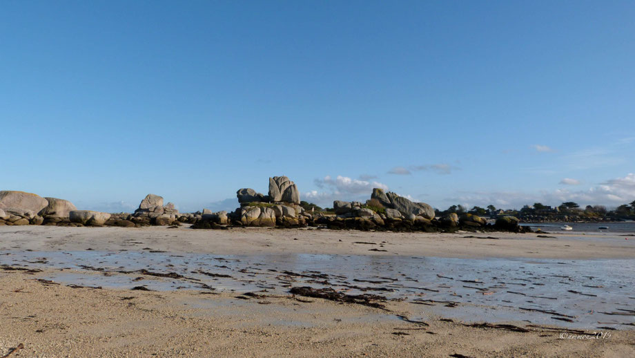 Les Crapauds, Port de Pontusval