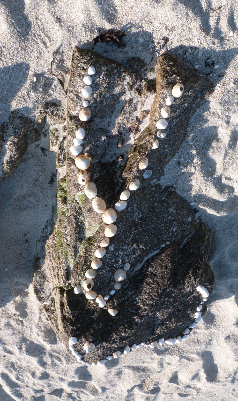 Trouver sur la Plage du Lividic, Finistère
